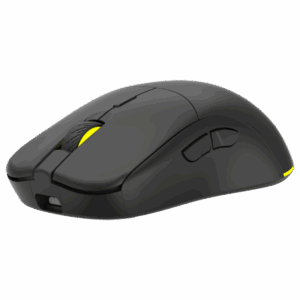 ANT Wireless