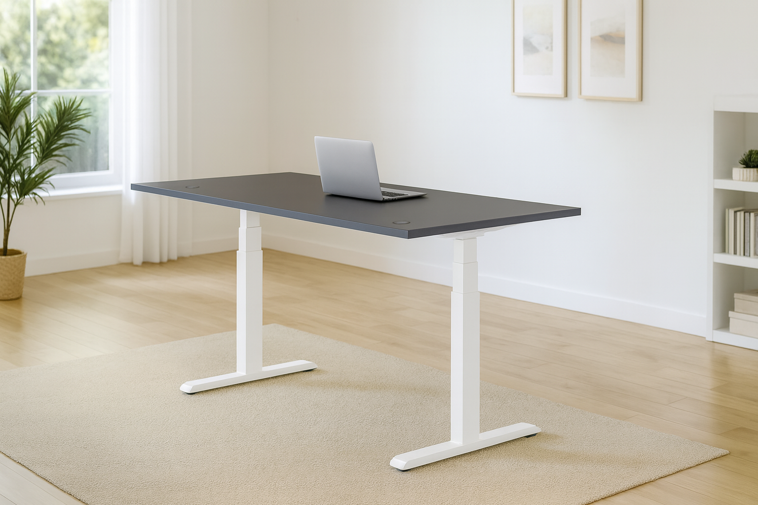 Frame Standard V2 Office